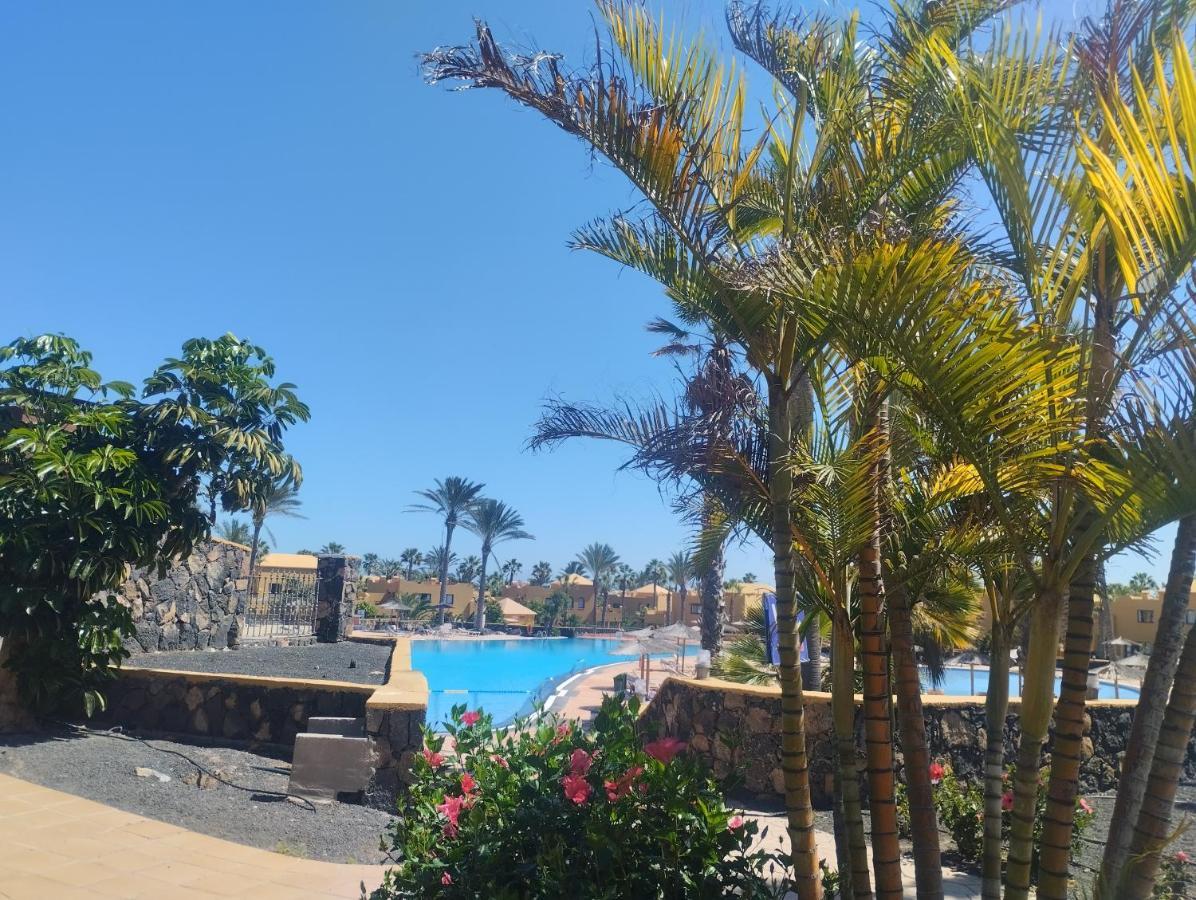 Casa Mona Lejlighed Corralejo Eksteriør billede