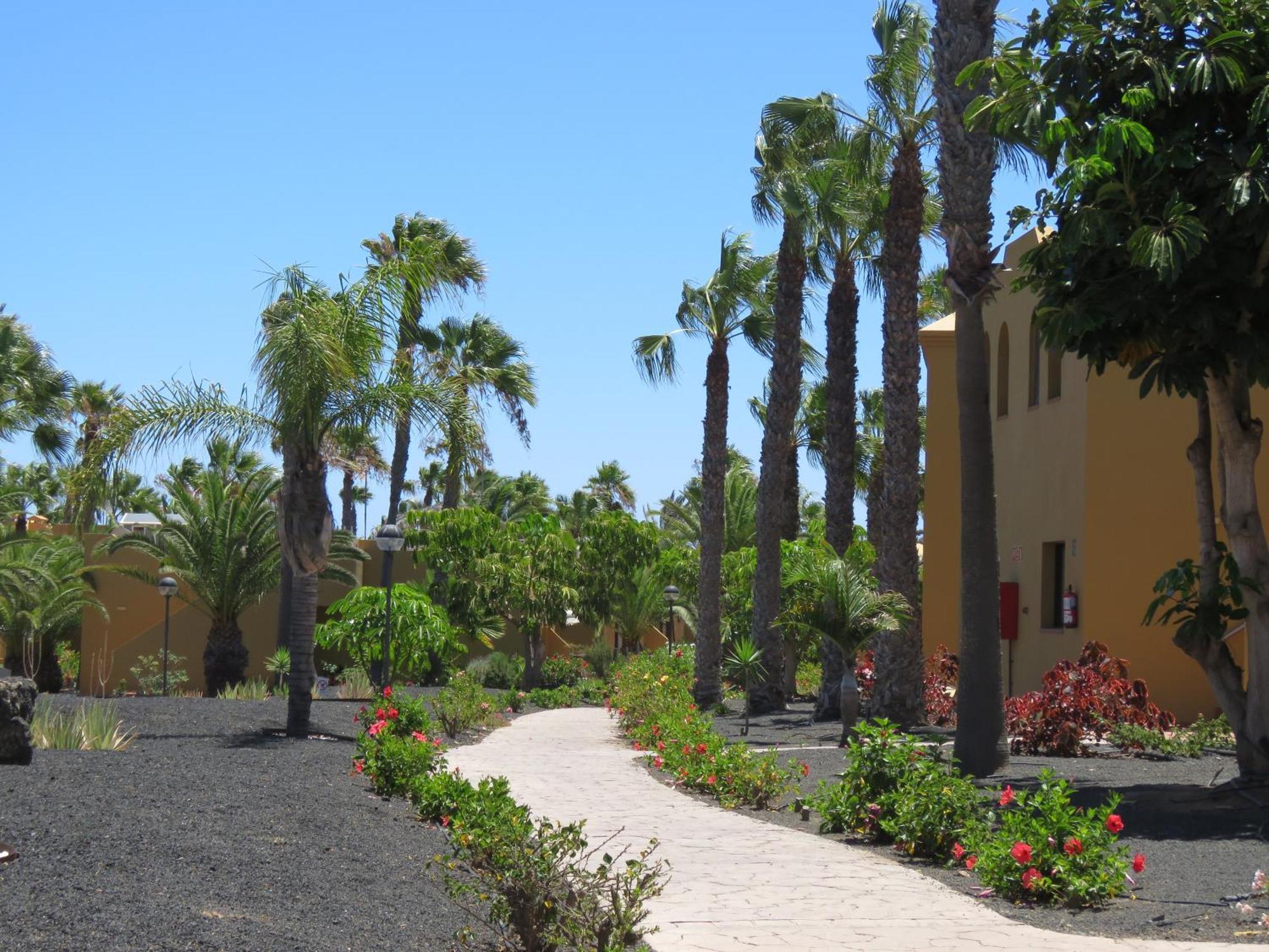 Casa Mona Lejlighed Corralejo Eksteriør billede